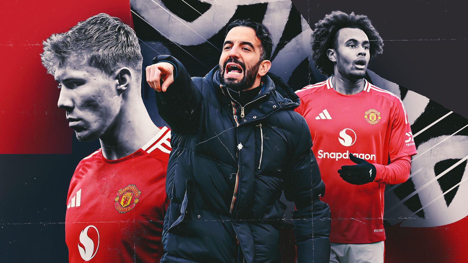 科尔斯的认 科尔斯的认